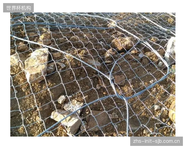国标修订的缓慢进程，实质上延迟了新技术在挡雪网钢丝绳安全标定中的应用
